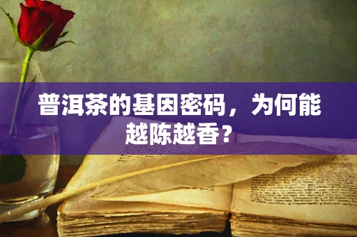 普洱茶的基因密码，为何能越陈越香？
