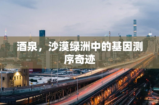 酒泉，沙漠绿洲中的基因测序奇迹
