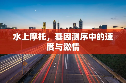 水上摩托，基因测序中的速度与激情