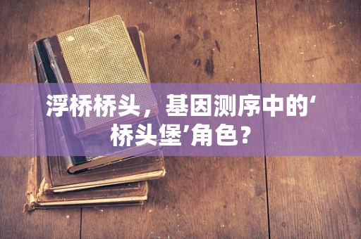 浮桥桥头，基因测序中的‘桥头堡’角色？