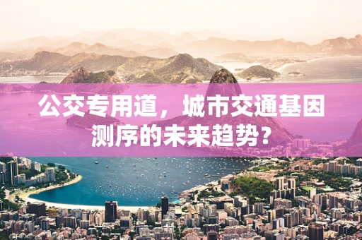 公交专用道，城市交通基因测序的未来趋势？