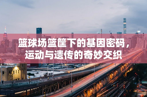 篮球场篮筐下的基因密码，运动与遗传的奇妙交织