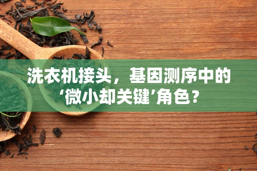 洗衣机接头，基因测序中的‘微小却关键’角色？