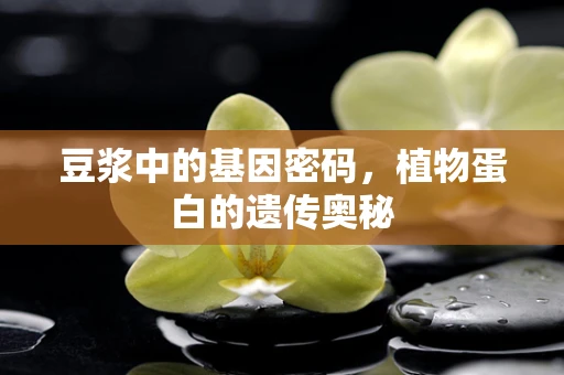 豆浆中的基因密码，植物蛋白的遗传奥秘