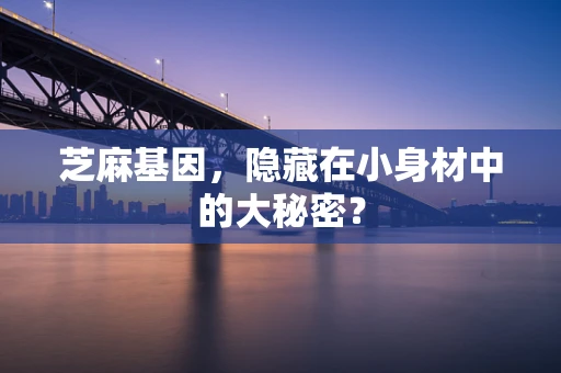 芝麻基因，隐藏在小身材中的大秘密？