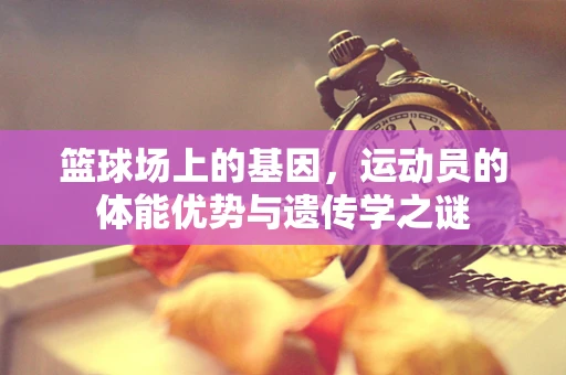 篮球场上的基因，运动员的体能优势与遗传学之谜