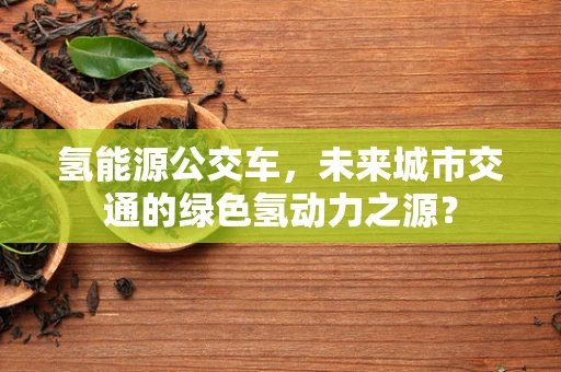 氢能源公交车，未来城市交通的绿色氢动力之源？
