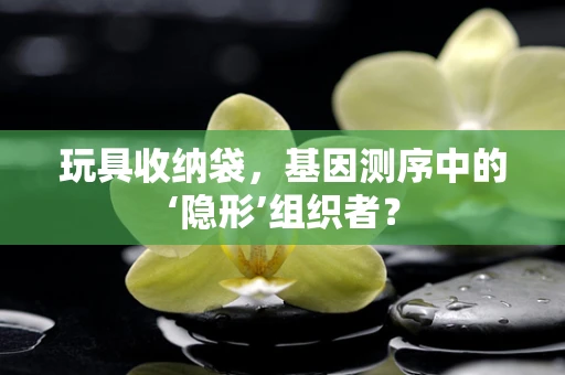 玩具收纳袋，基因测序中的‘隐形’组织者？