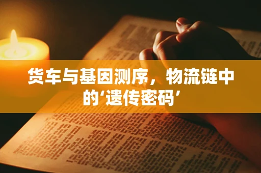 货车与基因测序，物流链中的‘遗传密码’