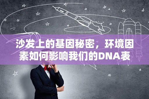 沙发上的基因秘密，环境因素如何影响我们的DNA表达？