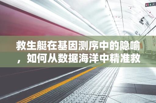 救生艇在基因测序中的隐喻，如何从数据海洋中精准救援遗传信息？