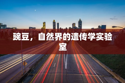 豌豆，自然界的遗传学实验室