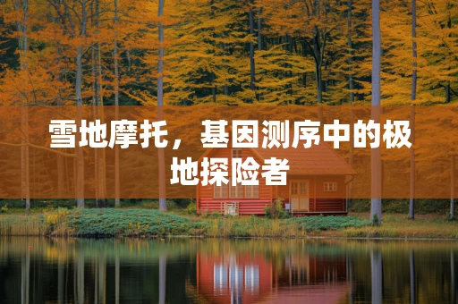 雪地摩托，基因测序中的极地探险者
