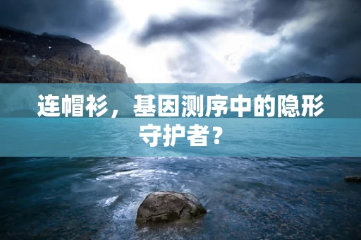 连帽衫，基因测序中的隐形守护者？