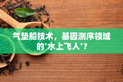 气垫船技术，基因测序领域的‘水上飞人’？