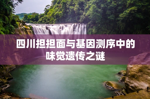 四川担担面与基因测序中的味觉遗传之谜