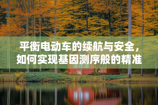 平衡电动车的续航与安全，如何实现基因测序般的精准优化？