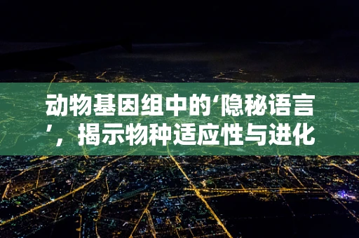 动物基因组中的‘隐秘语言’，揭示物种适应性与进化的关键？
