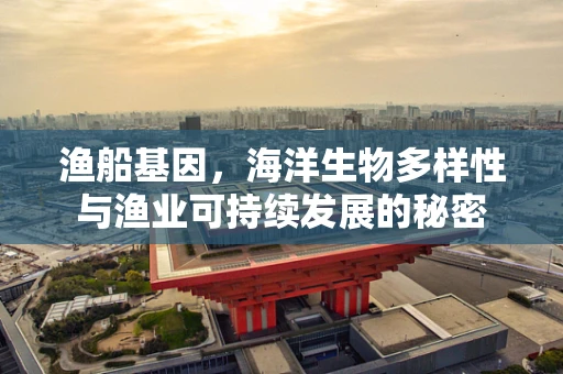 渔船基因，海洋生物多样性与渔业可持续发展的秘密