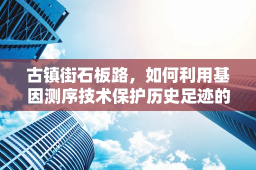 古镇街石板路，如何利用基因测序技术保护历史足迹的‘遗传密码’？