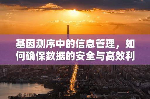 基因测序中的信息管理，如何确保数据的安全与高效利用？