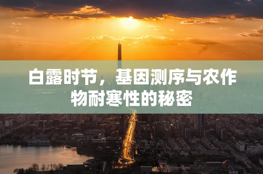 白露时节，基因测序与农作物耐寒性的秘密