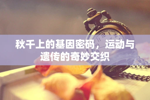 秋千上的基因密码，运动与遗传的奇妙交织