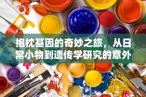 抱枕基因的奇妙之旅，从日常小物到遗传学研究的意外发现？