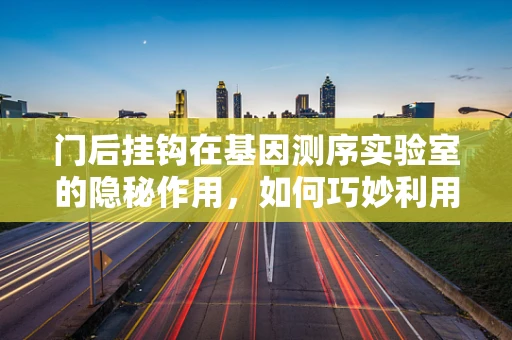 门后挂钩在基因测序实验室的隐秘作用，如何巧妙利用空间提升效率？