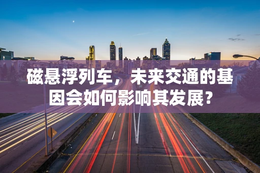 磁悬浮列车，未来交通的基因会如何影响其发展？