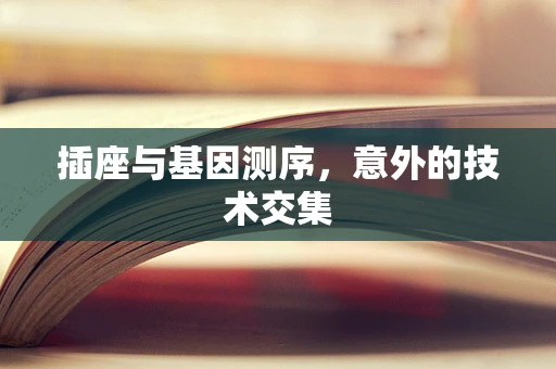 插座与基因测序，意外的技术交集