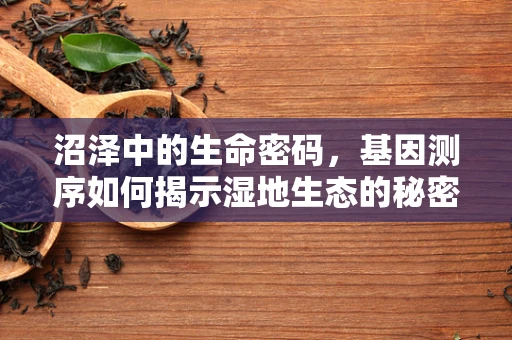 沼泽中的生命密码，基因测序如何揭示湿地生态的秘密？