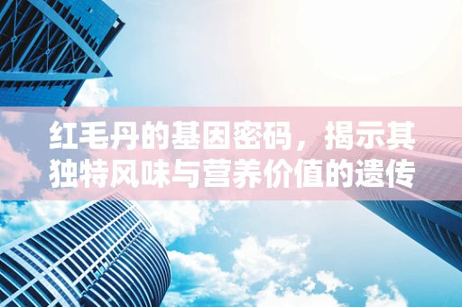 红毛丹的基因密码，揭示其独特风味与营养价值的遗传基础