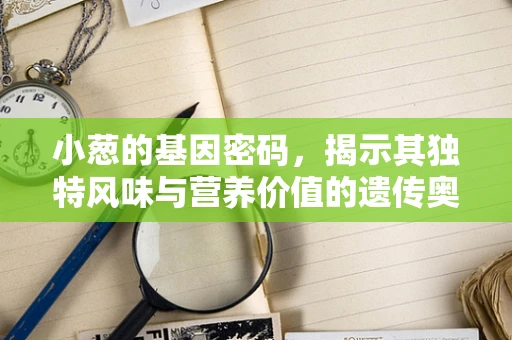 小葱的基因密码，揭示其独特风味与营养价值的遗传奥秘