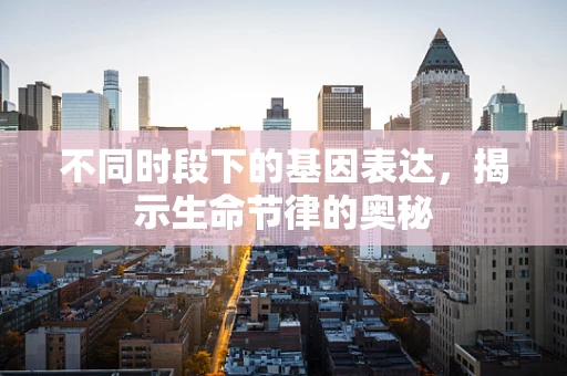 不同时段下的基因表达，揭示生命节律的奥秘