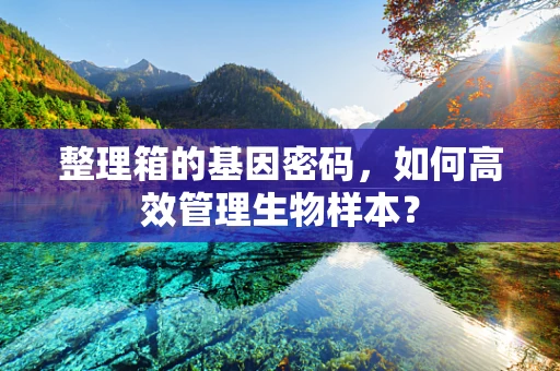 整理箱的基因密码，如何高效管理生物样本？