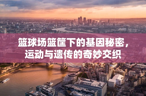 篮球场篮筐下的基因秘密，运动与遗传的奇妙交织