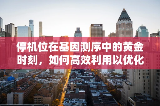 停机位在基因测序中的黄金时刻，如何高效利用以优化流程？