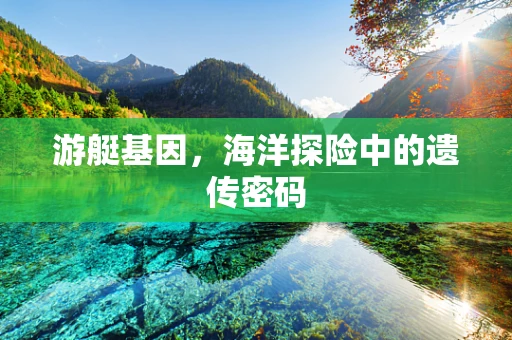 游艇基因，海洋探险中的遗传密码