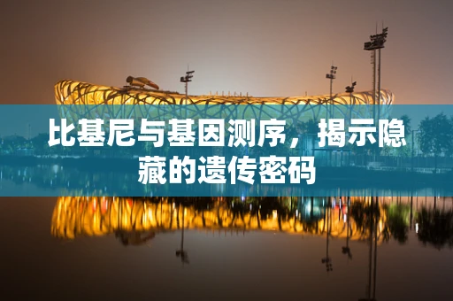比基尼与基因测序，揭示隐藏的遗传密码
