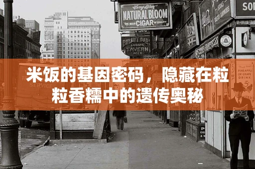 米饭的基因密码，隐藏在粒粒香糯中的遗传奥秘