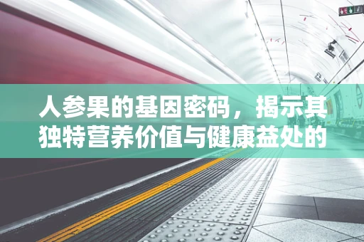 人参果的基因密码，揭示其独特营养价值与健康益处的关键