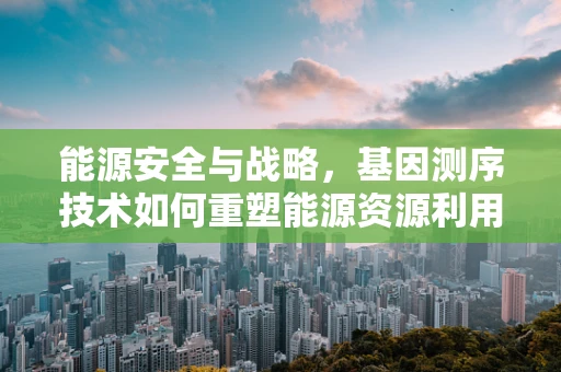 能源安全与战略，基因测序技术如何重塑能源资源利用的未来？