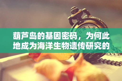 葫芦岛的基因密码，为何此地成为海洋生物遗传研究的热土？