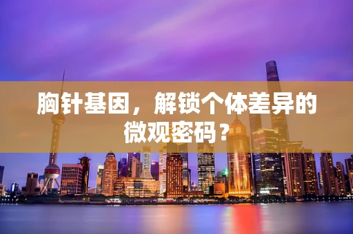胸针基因，解锁个体差异的微观密码？
