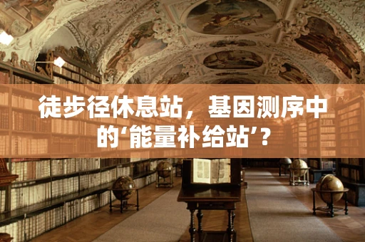 徒步径休息站，基因测序中的‘能量补给站’？