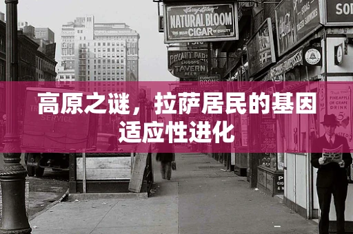 高原之谜，拉萨居民的基因适应性进化