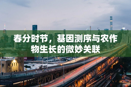 春分时节，基因测序与农作物生长的微妙关联