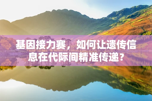 基因接力赛，如何让遗传信息在代际间精准传递？