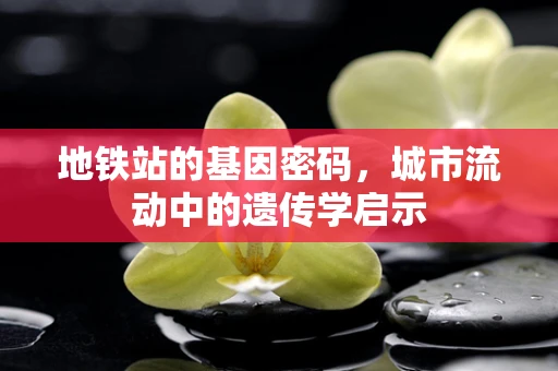 地铁站的基因密码，城市流动中的遗传学启示